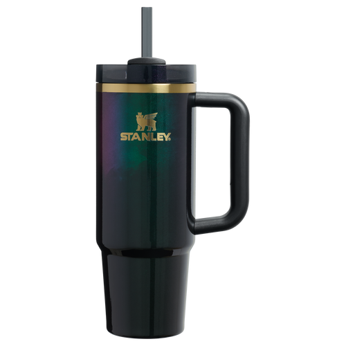 Double-Wall Vacuum The Wicked for Good Quencher H2.0 Flowstate Tumbler D246P - Double-Wall Vacuum Insulated Travel Tumbler with Straw - Elphaba For Good
